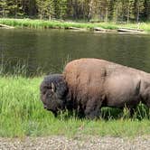 Review photo of Madison Campground — Yellowstone National Park by Ann M., October 27, 2020
