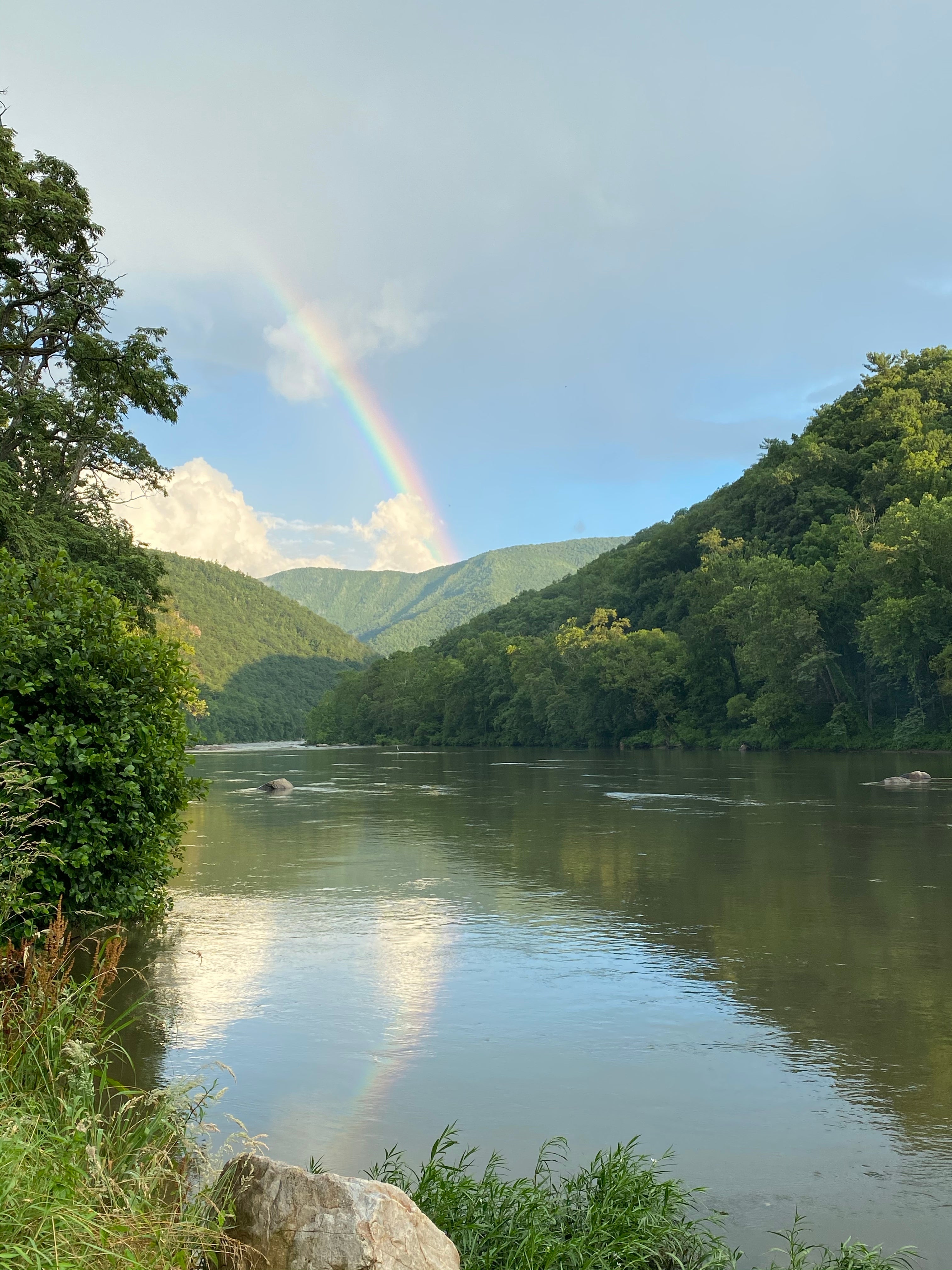 Camper submitted image from Nolichucky Gorge Campground - 3