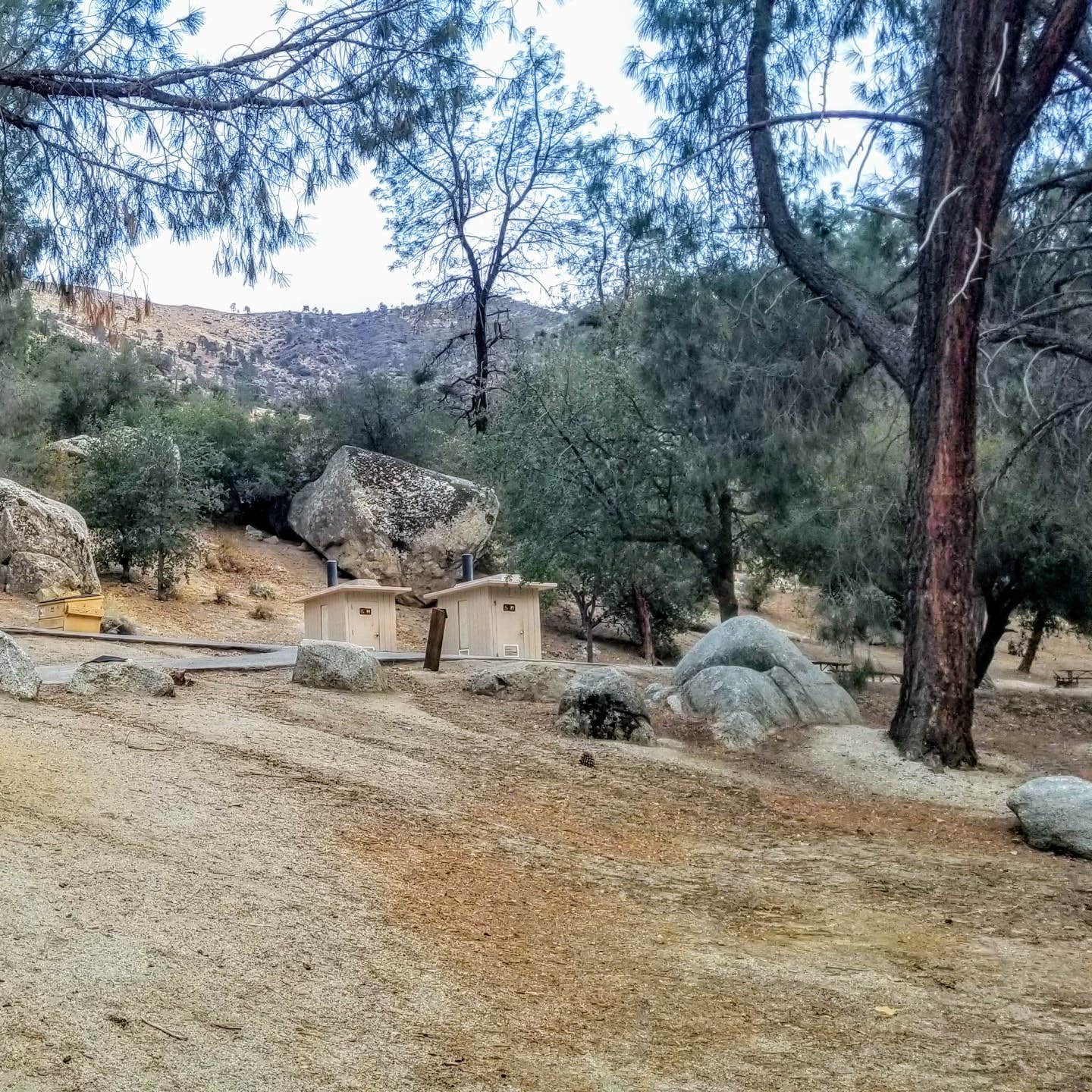 Sandy Flat Camping The Dyrt