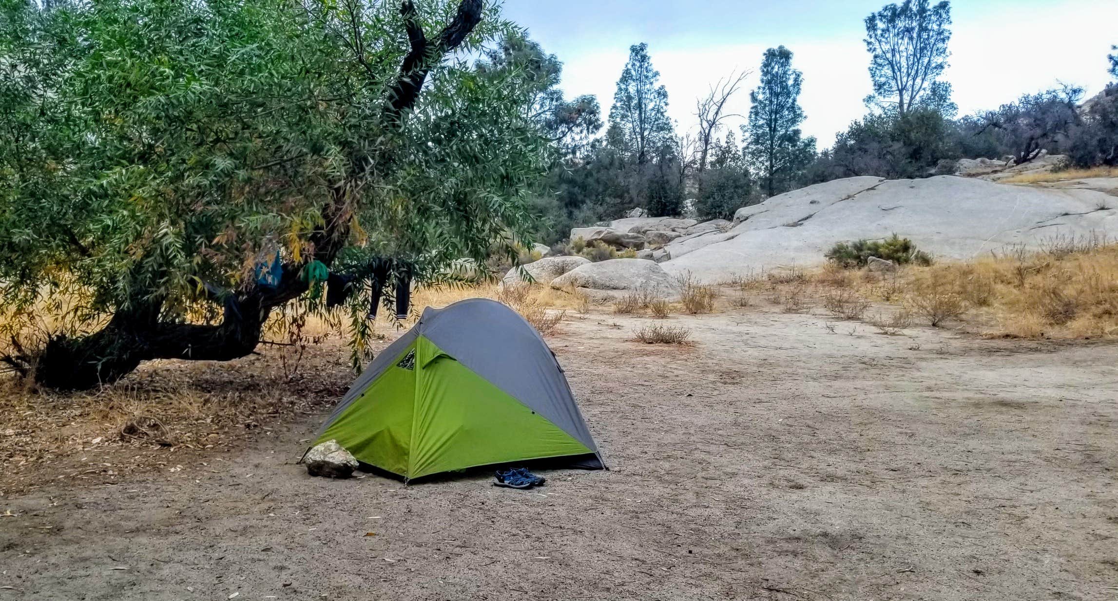 Julie D.'s photo at Sandy Flat near Bakersfield, CA