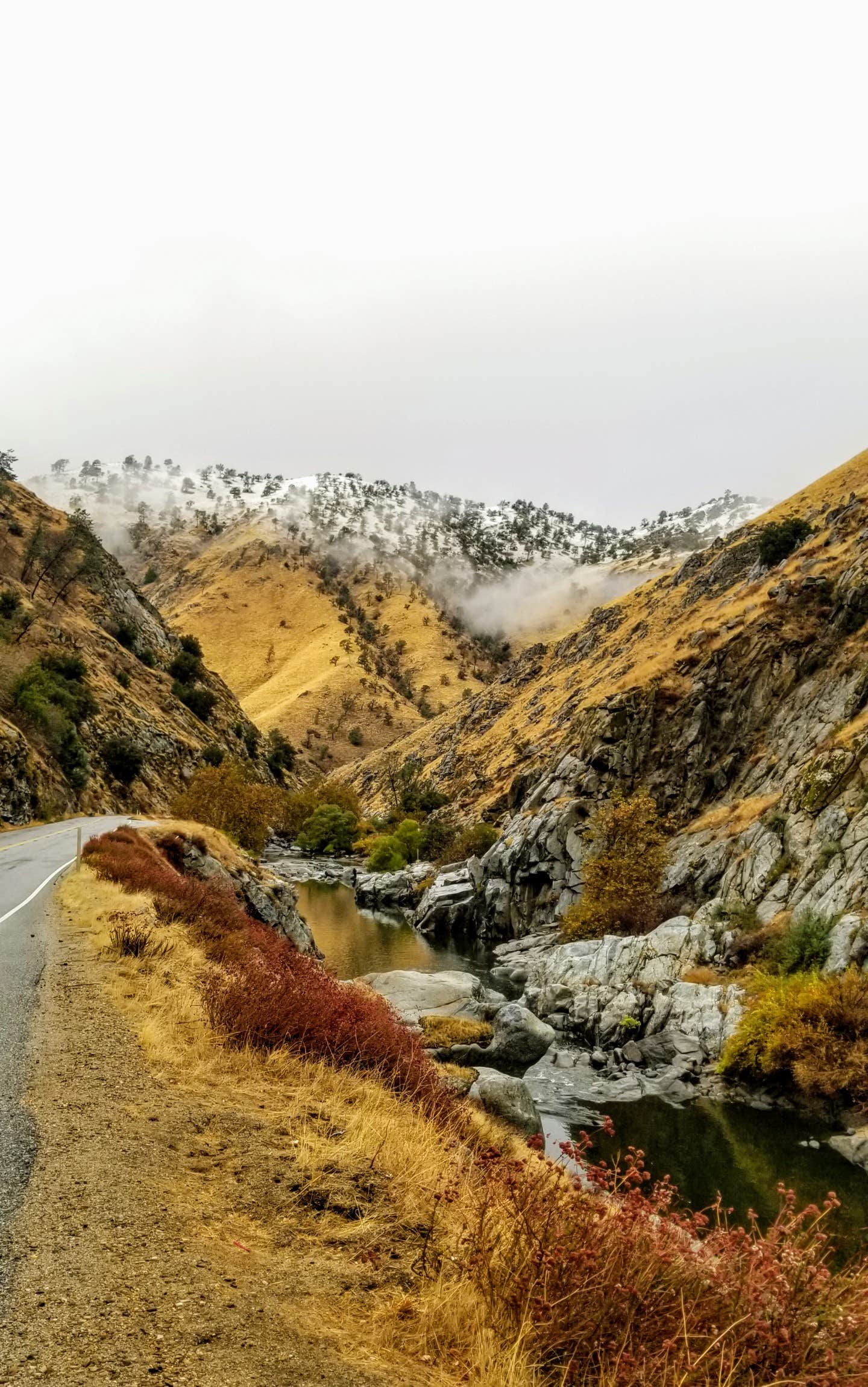 Camper submitted image from Sandy Flat - 5