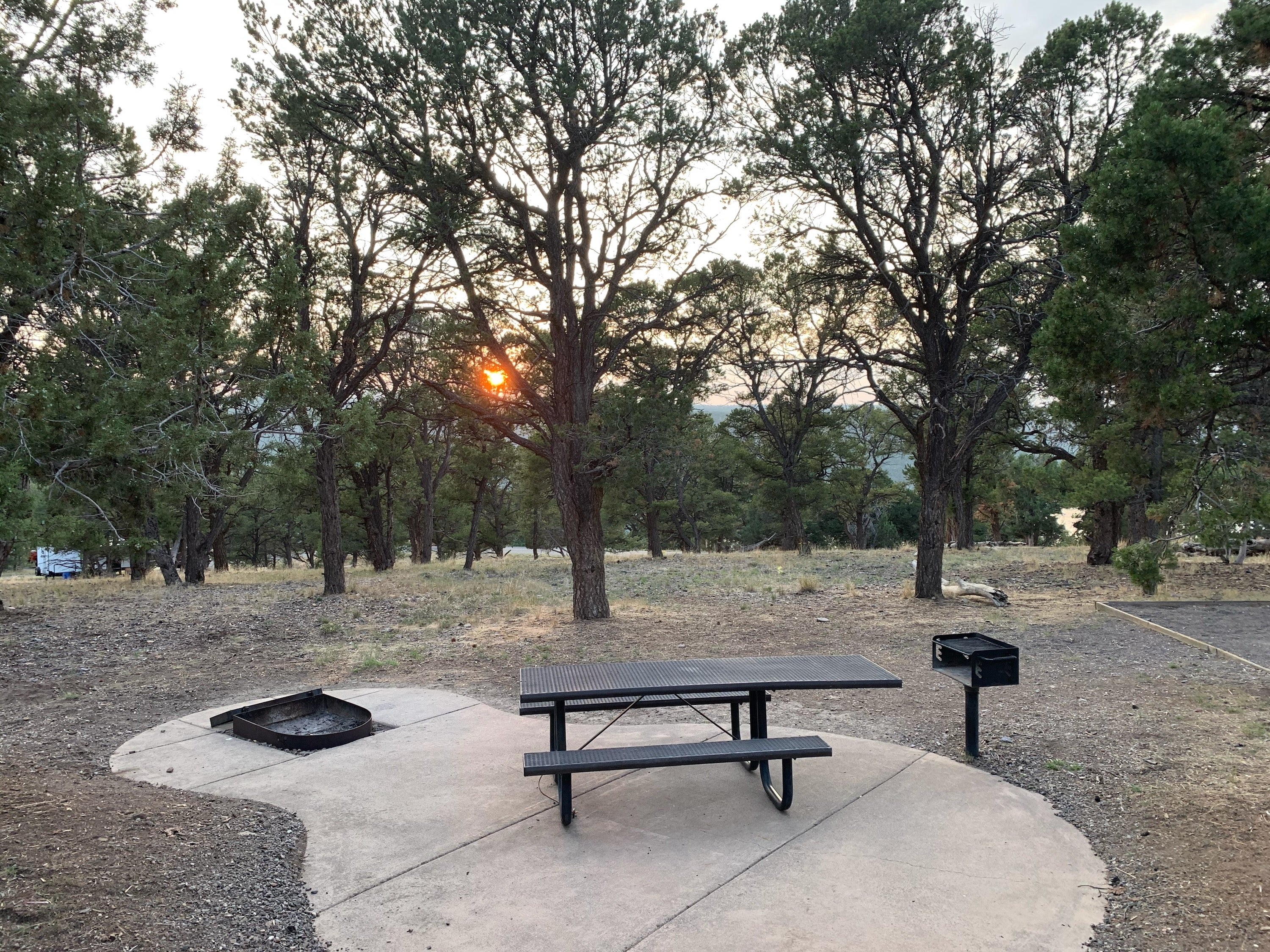 Camper submitted image from Elk Ridge Campground — Ridgway State Park - 1