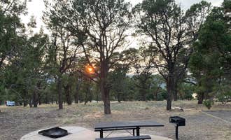 Camping near Big Cimarron: Elk Ridge Campground — Ridgway State Park, Ridgway, Colorado