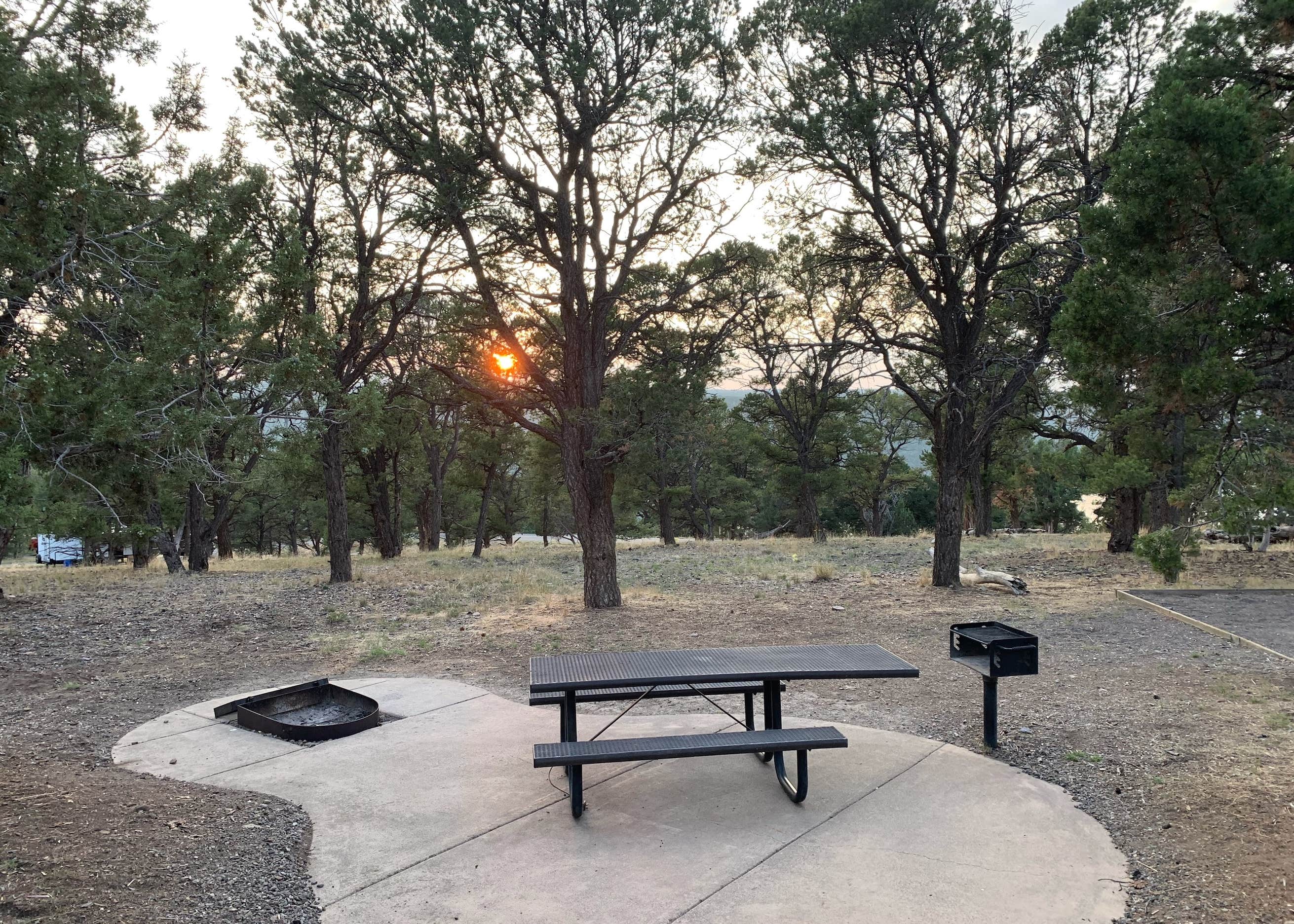 Elk Ridge Rv Park Elk Ridge Campground Camping | Ridgway, CO | The Dyrt