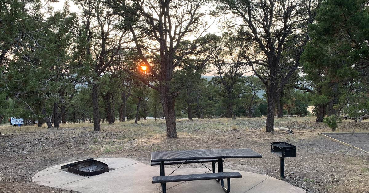 Elk Ridge Campground — Ridgway State Park