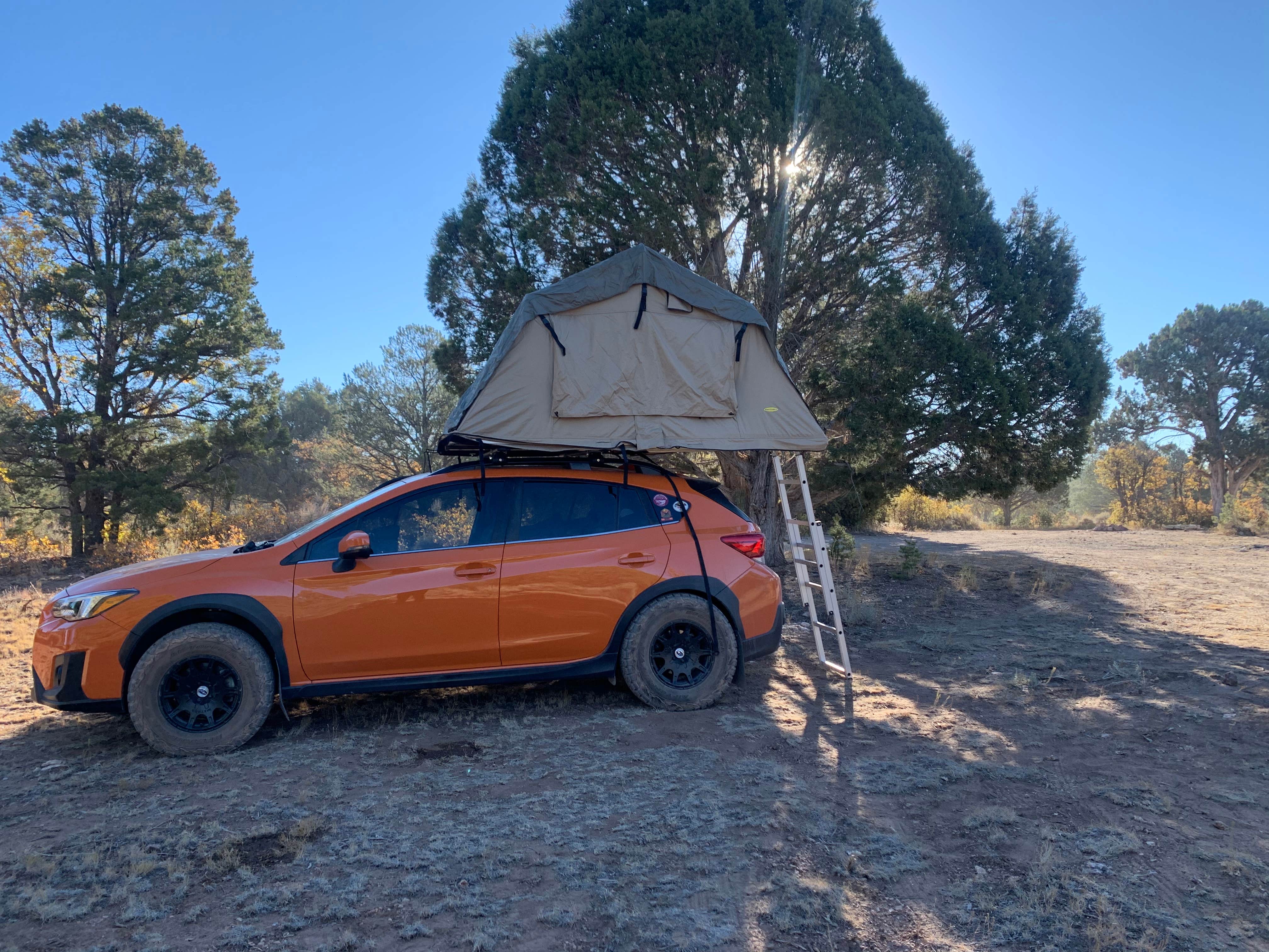 Joanna G.'s photo of tent camping at Forest Service Road 328 Dispersed near Cameron, AZ