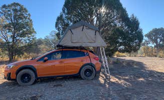 Joanna G.'s photo of tent camping at Forest Service Road 328 Dispersed near Gray Mountain, AZ