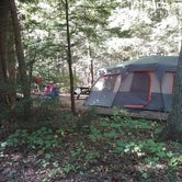 Review photo of Ravensburg State Park Campground by Traci F., October 27, 2020