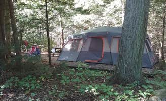 Traci F.'s photo at Ravensburg State Park Campground near Allenwood, PA