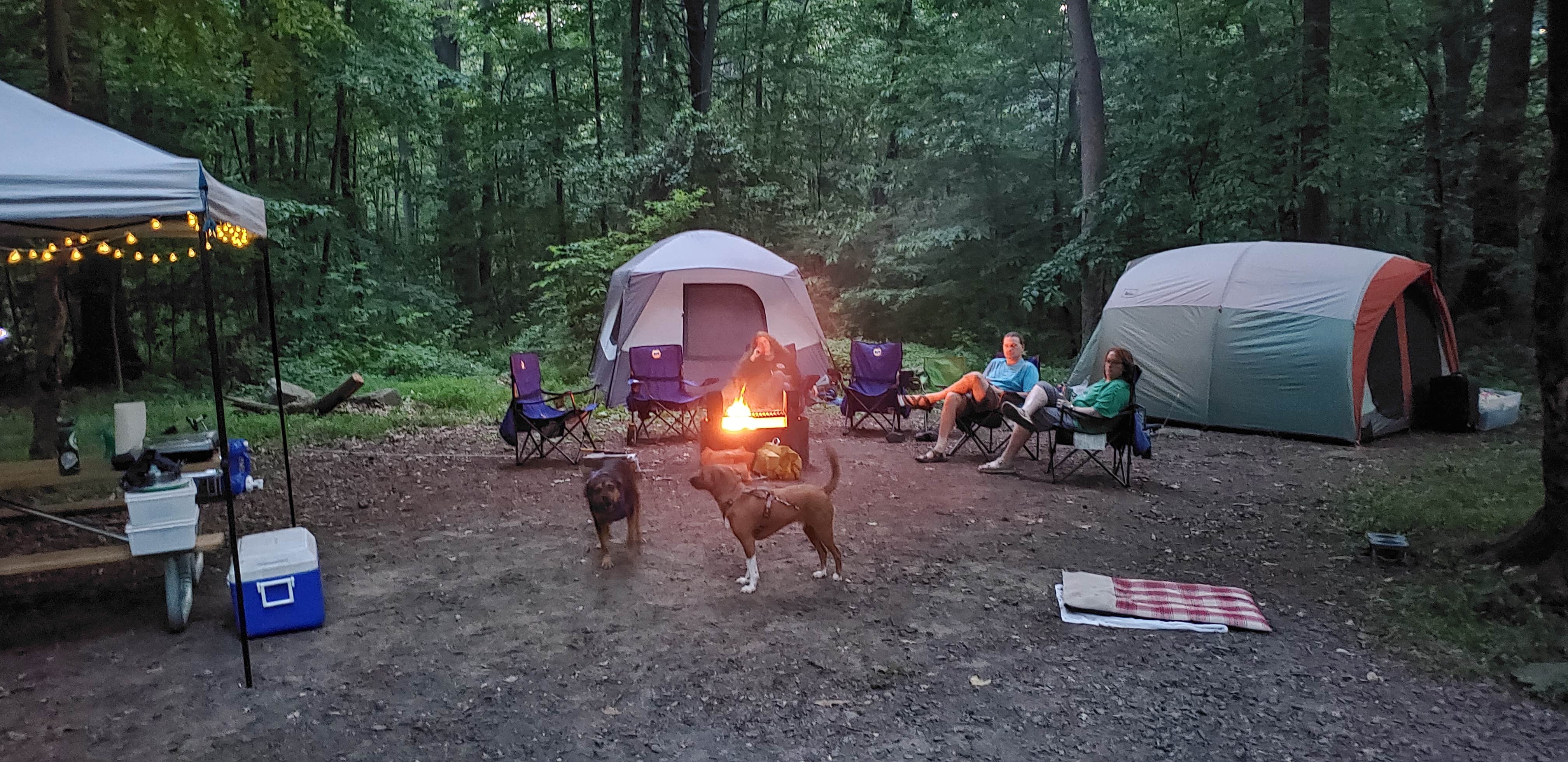 John S.'s photo at French Creek State Park Campground near Ambler, PA