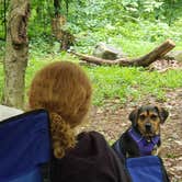 Review photo of French Creek State Park Campground by John S., October 27, 2020