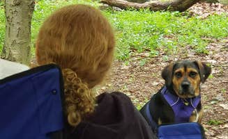 John S.'s photo of camping with pets at French Creek State Park Campground near Temple, PA