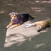 Review photo of French Creek State Park Campground by John S., October 27, 2020