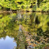 Review photo of Brunet Island State Park Campground by Julie W., October 27, 2020