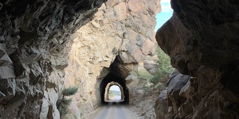 Camper submitted image from Mt. Princeton RV Park & Cabins