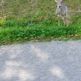 Review photo of Hills Creek State Park Campground by John S., October 27, 2020