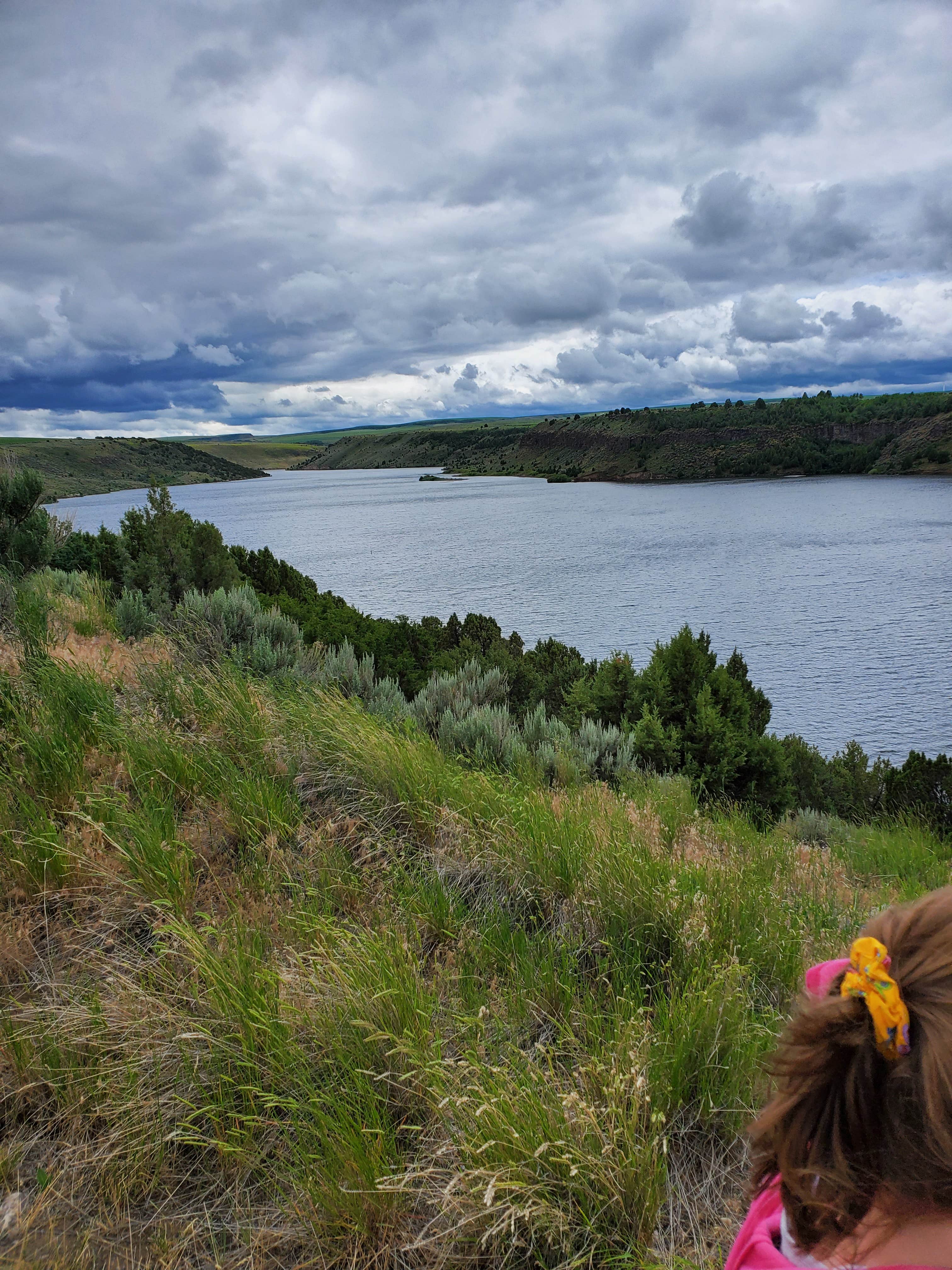 Camper submitted image from Juniper Group Campsite — City of Rocks National Reserve - 4