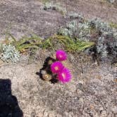 Review photo of Walnut Springs Area — Enchanted Rock State Natural Area by Rebeca L., May 22, 2018