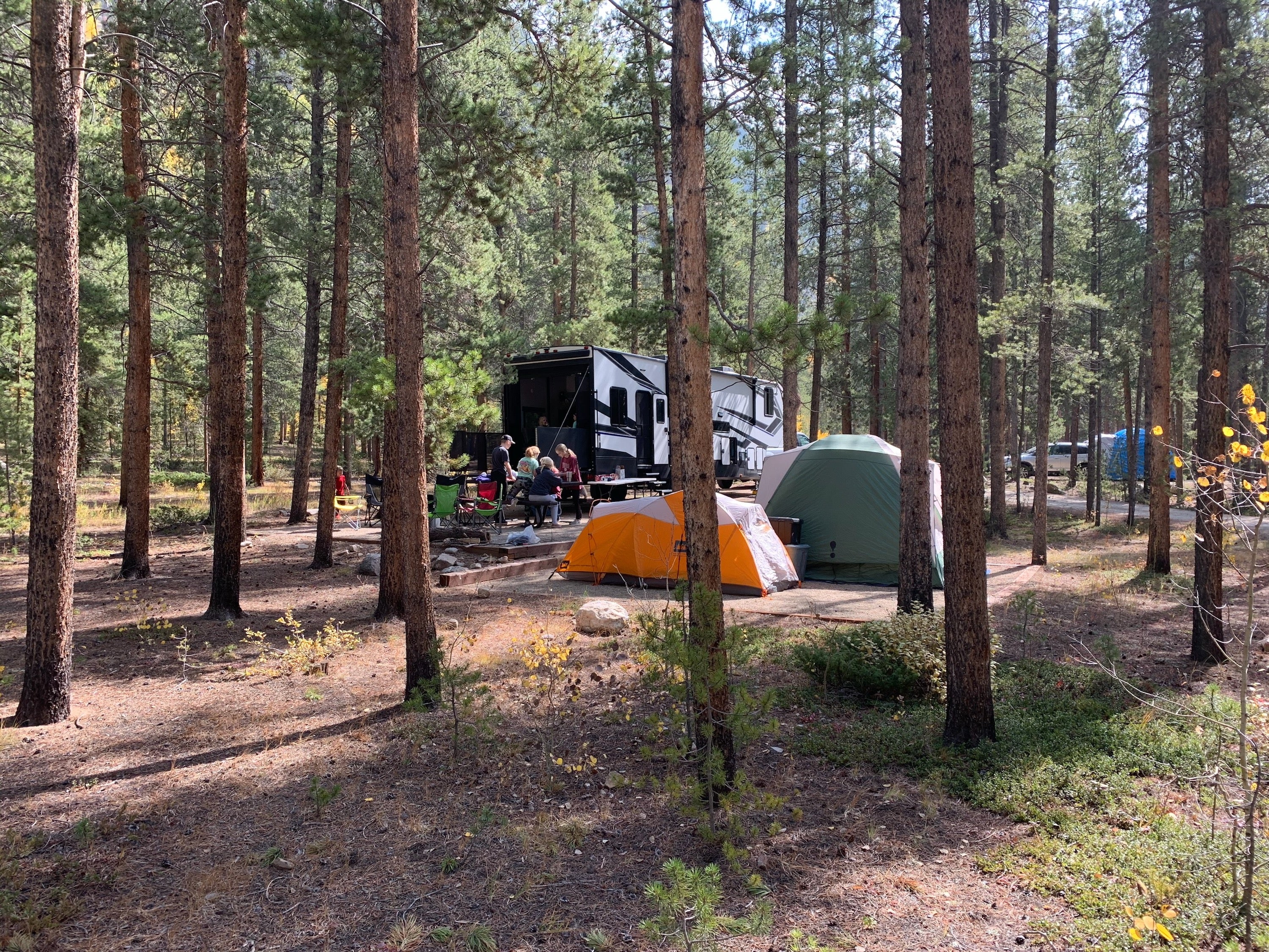 Camper submitted image from Lottis Creek Campground - 4