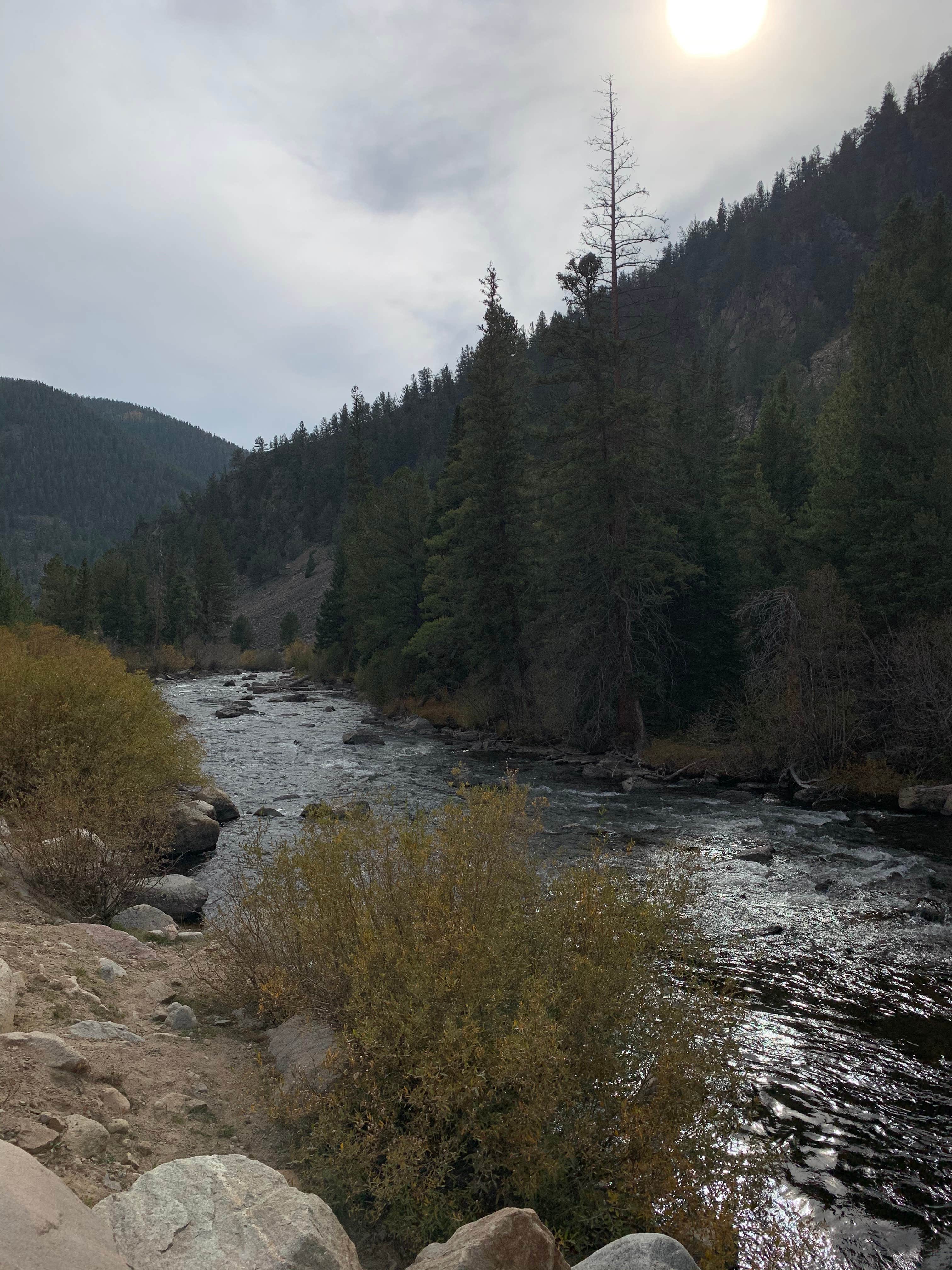 Camper-submitted photo at Lottis Creek Campground near Pitkin, CO