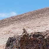 Review photo of Walnut Springs Area — Enchanted Rock State Natural Area by Rebeca L., May 22, 2018