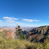 Review photo of Saddle Mountain (Kaibab NF) by Taylor , October 27, 2020