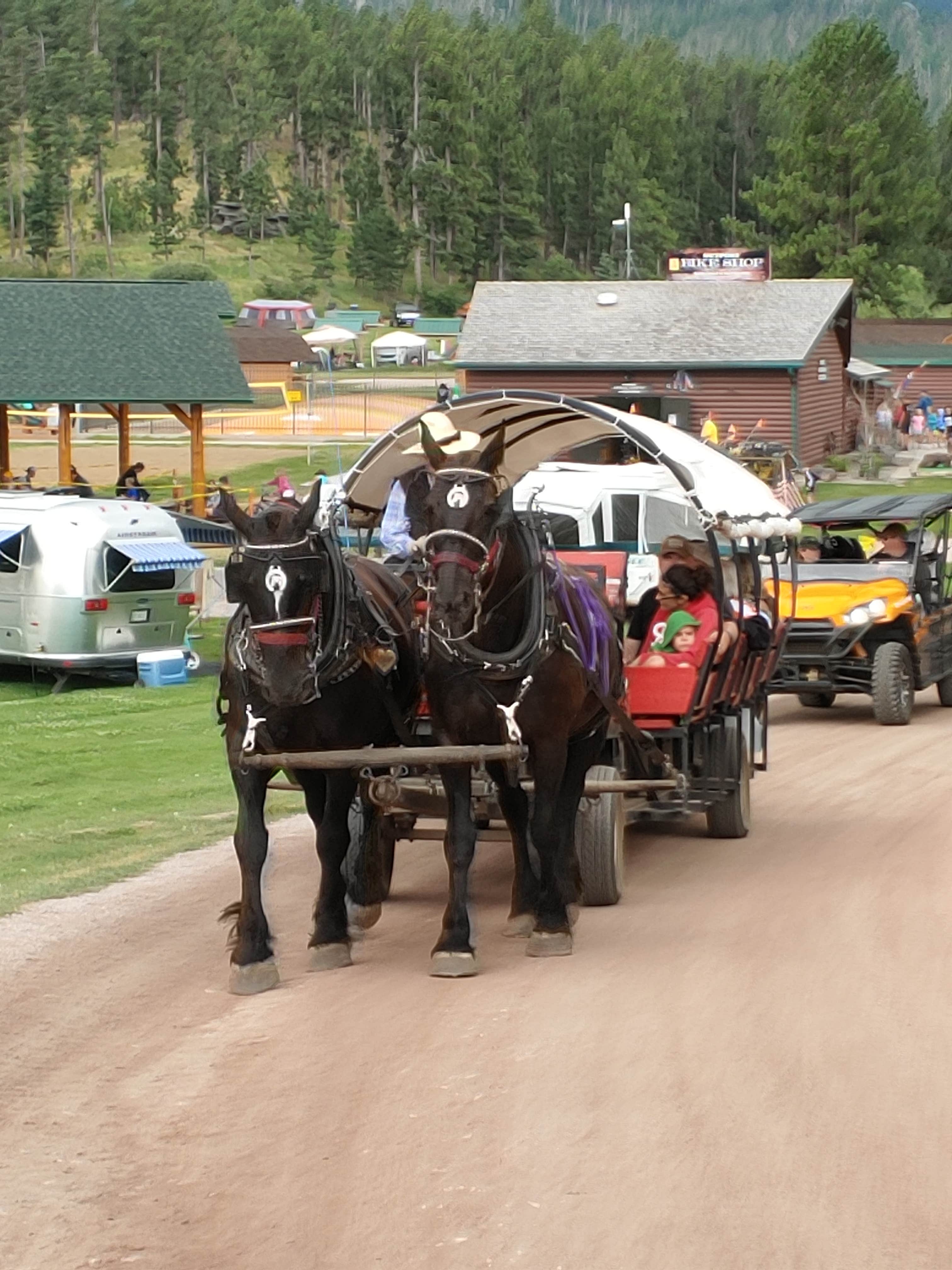 Terrie M.'s photo of camping with a horse at Mount Rushmore KOA at Palmer Gulch near Blackhawk, SD