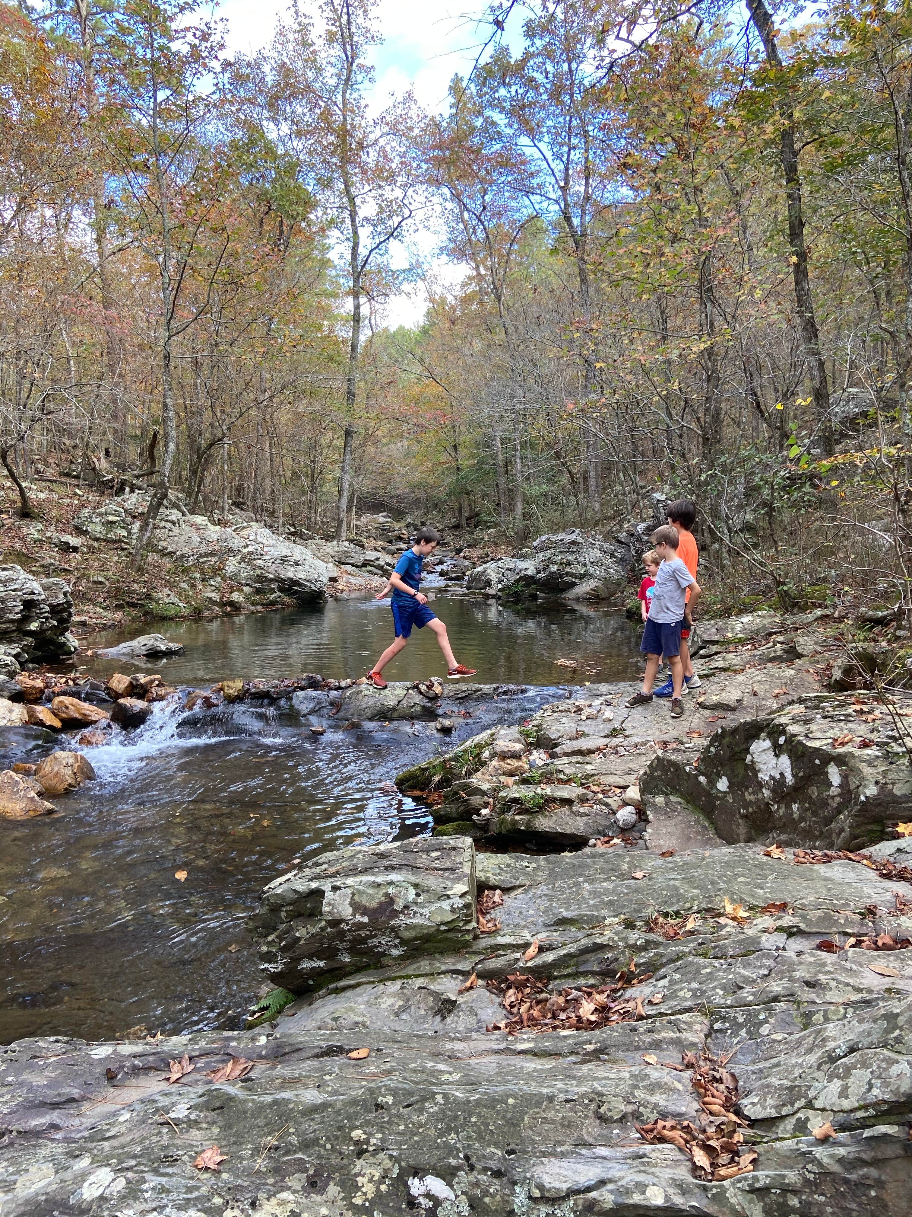 Shady Lake Campground | Umpire, Arkansas