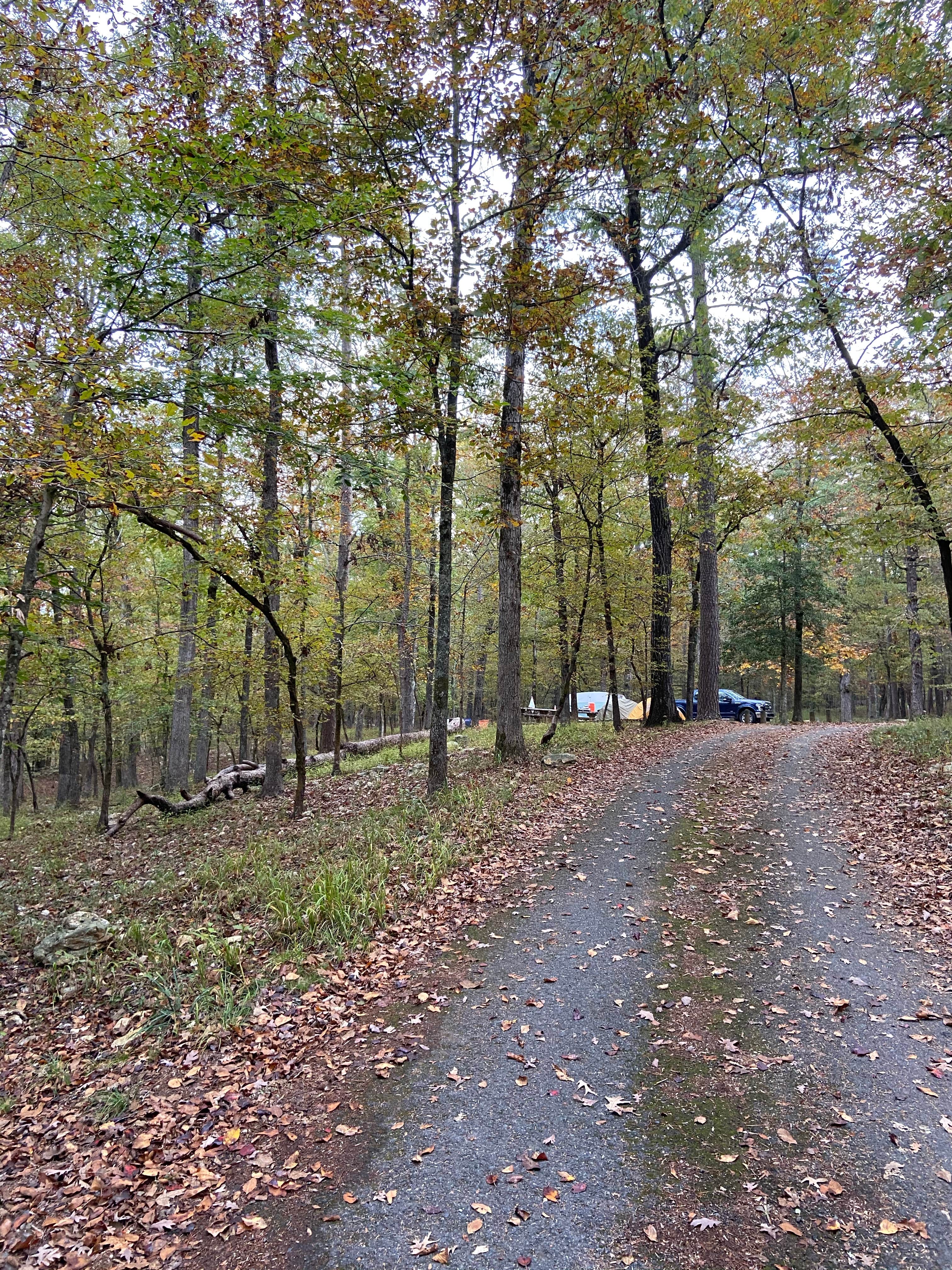 Camper submitted image from Shady Lake Campground - 3