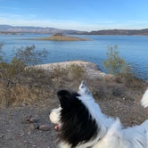 Review photo of Lake Pleasant Regional Park Campground by Robin , October 27, 2020