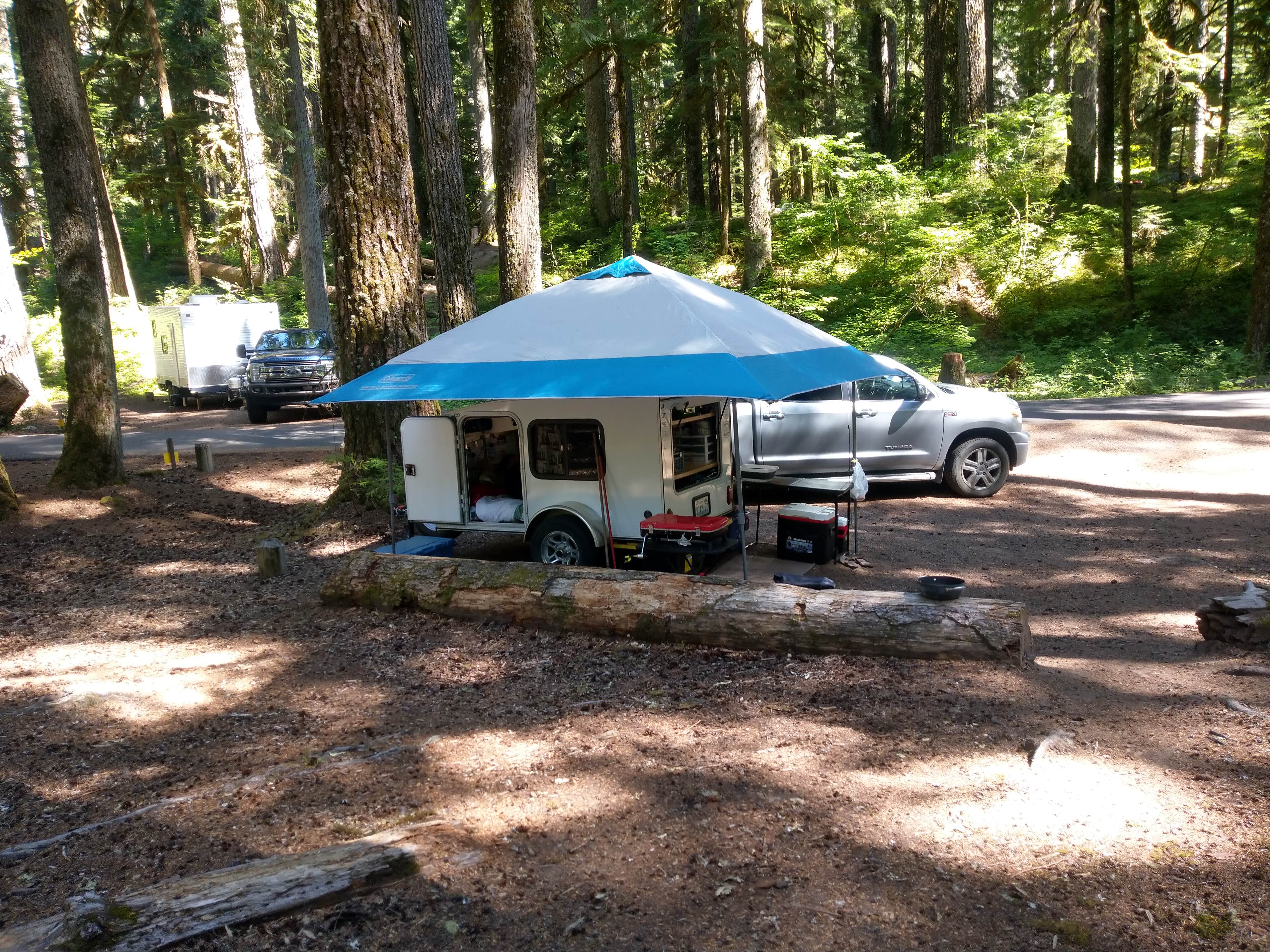 Terrie M.'s photo at Ohanapecosh Campground — Mount Rainier National Park near Longmire, WA