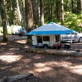 Review photo of Ohanapecosh Campground — Mount Rainier National Park by Terrie M., October 27, 2020