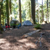 Review photo of Ohanapecosh Campground — Mount Rainier National Park by Terrie M., October 27, 2020