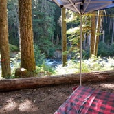 Review photo of Ohanapecosh Campground — Mount Rainier National Park by Terrie M., October 27, 2020