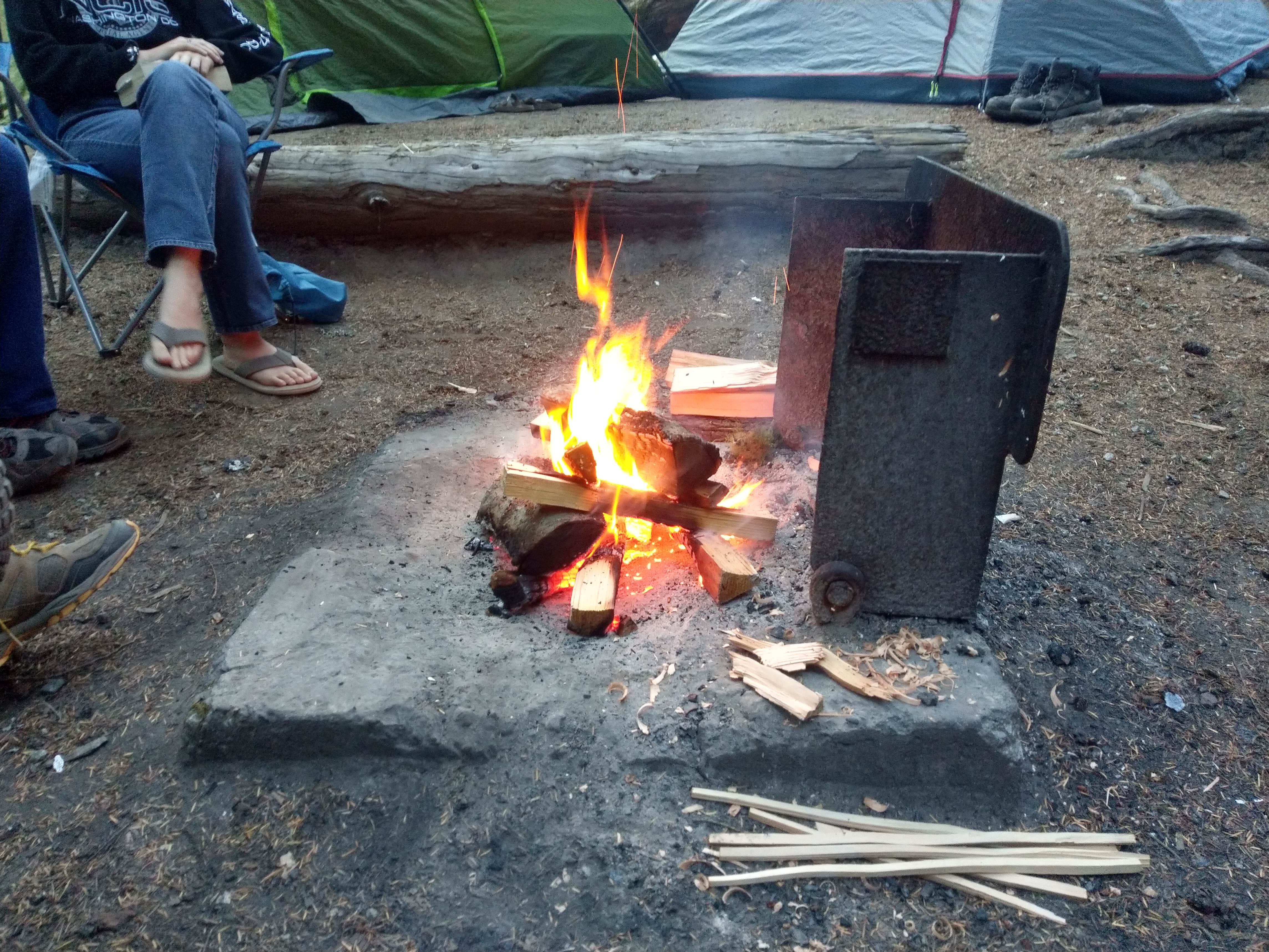 Terrie M.'s photo at Ohanapecosh Campground — Mount Rainier National Park near Packwood, WA