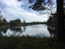 Camper submitted image from Tully Lake Recreation Area (MA) — Tully Lake - 4