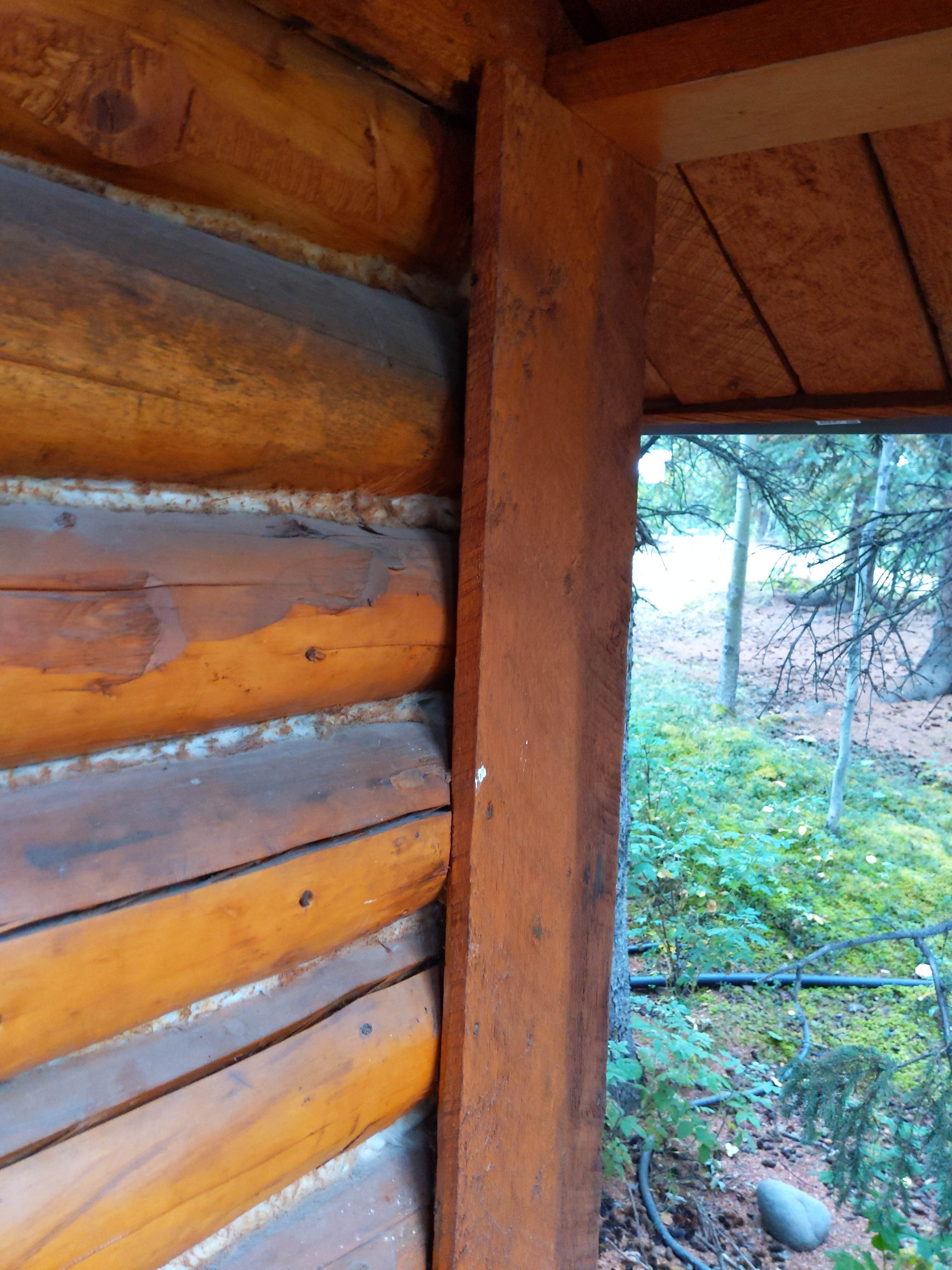 Esther L.'s photo of glamping accommodations at Denali Grizzly Bear Resort near Cantwell, AK