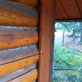 Review photo of Denali Grizzly Bear Resort by Esther L., October 27, 2020
