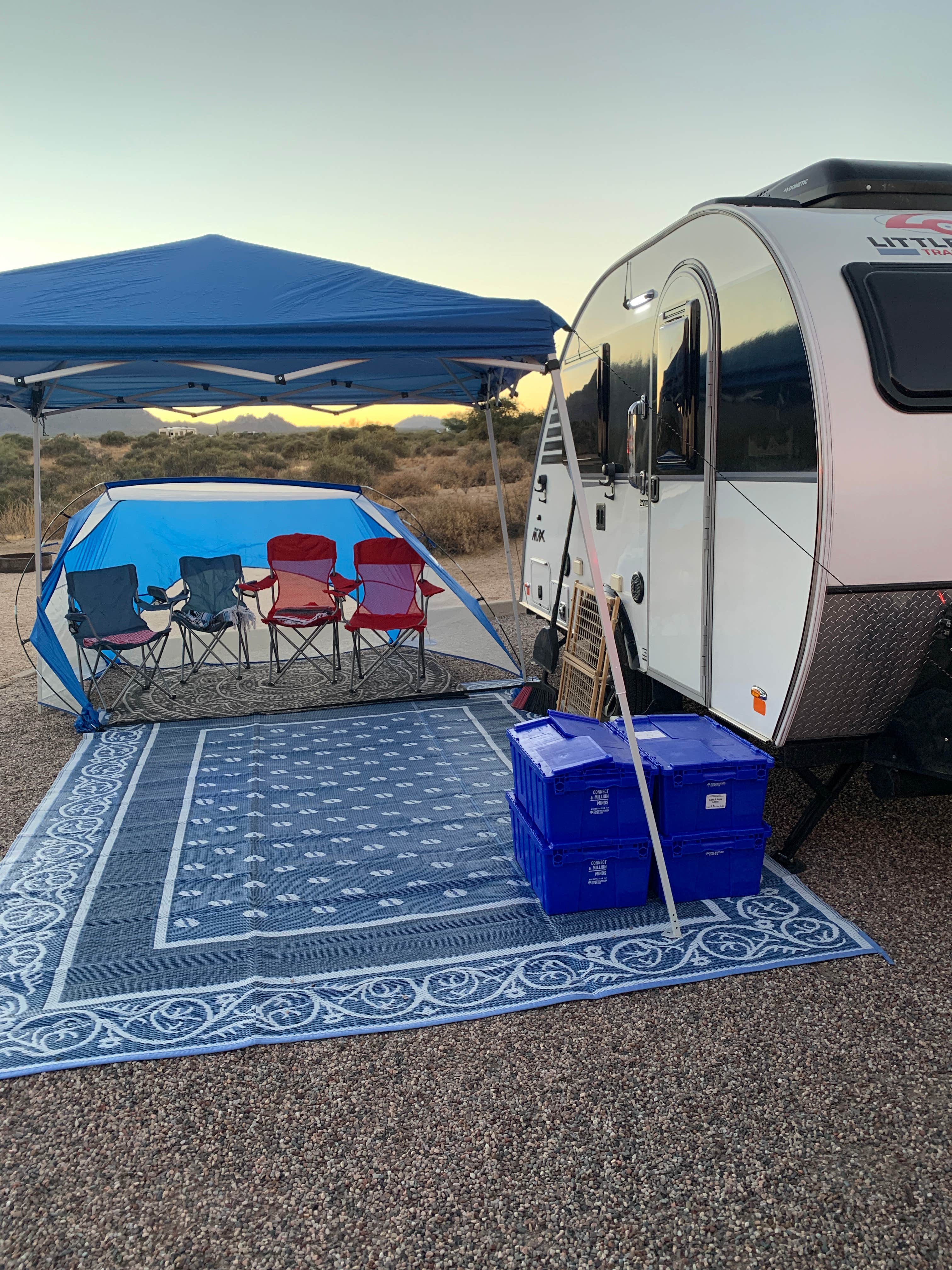 Robin's photo at McDowell Mountain Regional Park near Phoenix, AZ