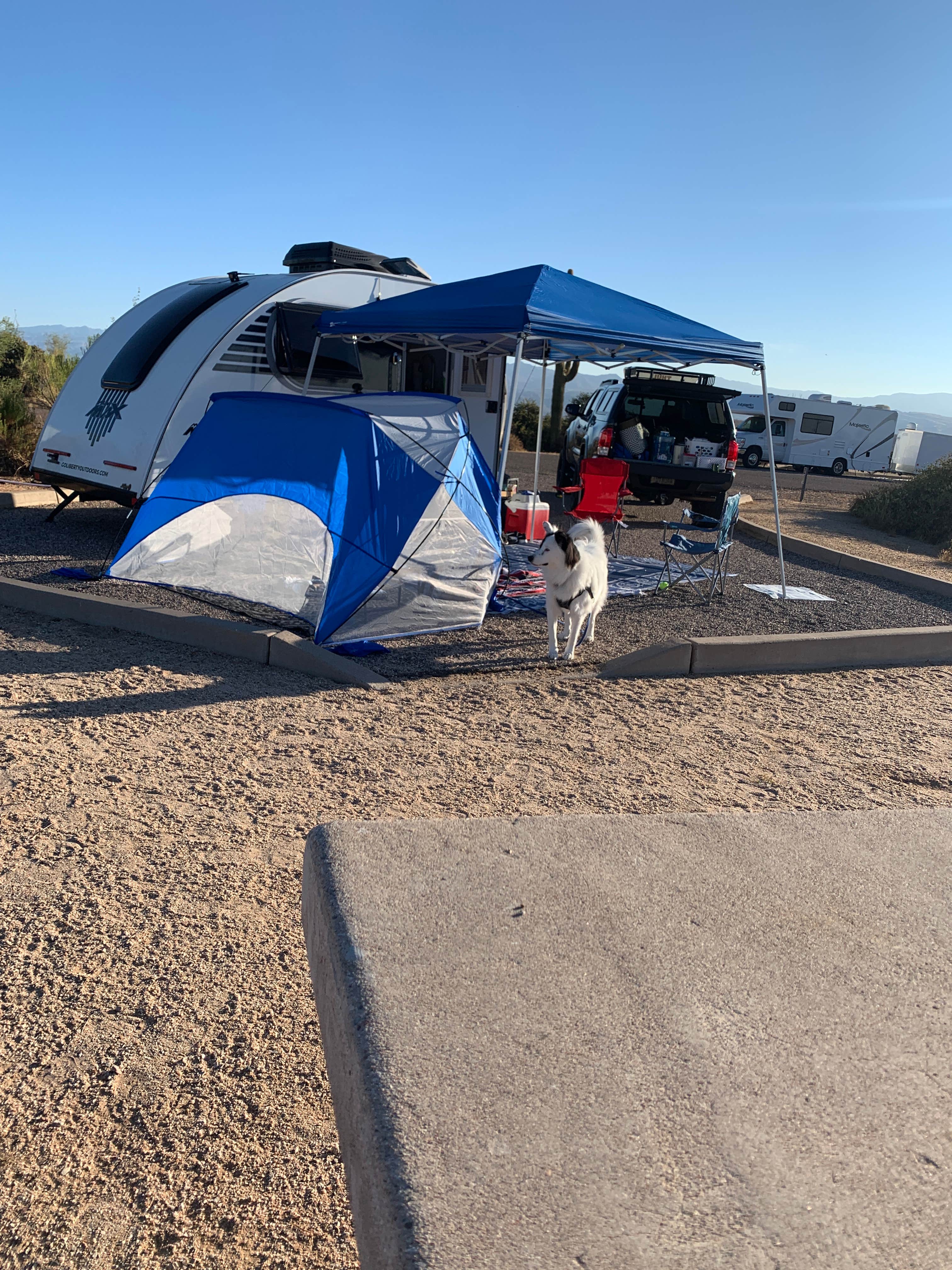 Robin's photo of camping with pets at McDowell Mountain Regional Park near Rio Verde, AZ