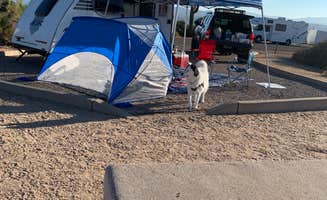 Robin's photo of camping with pets at McDowell Mountain Regional Park near Scottsdale, AZ