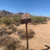 Review photo of McDowell Mountain Regional Park by Robin , October 27, 2020