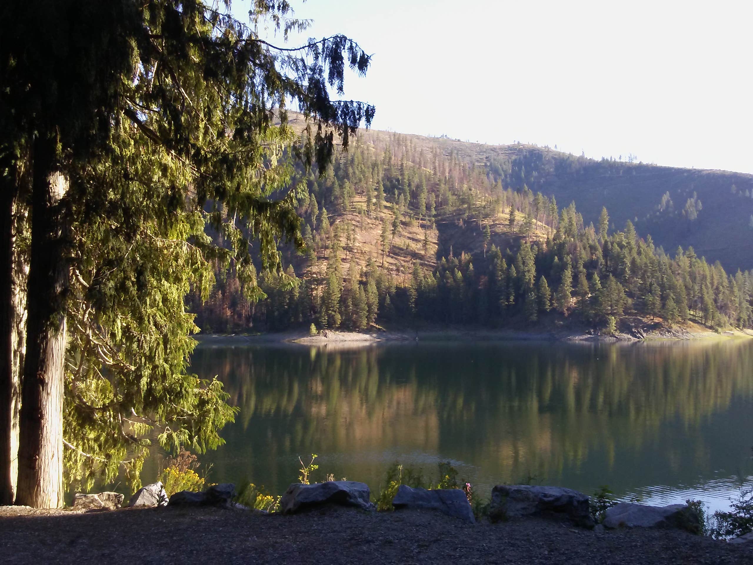 Browns Lake The Dyrt