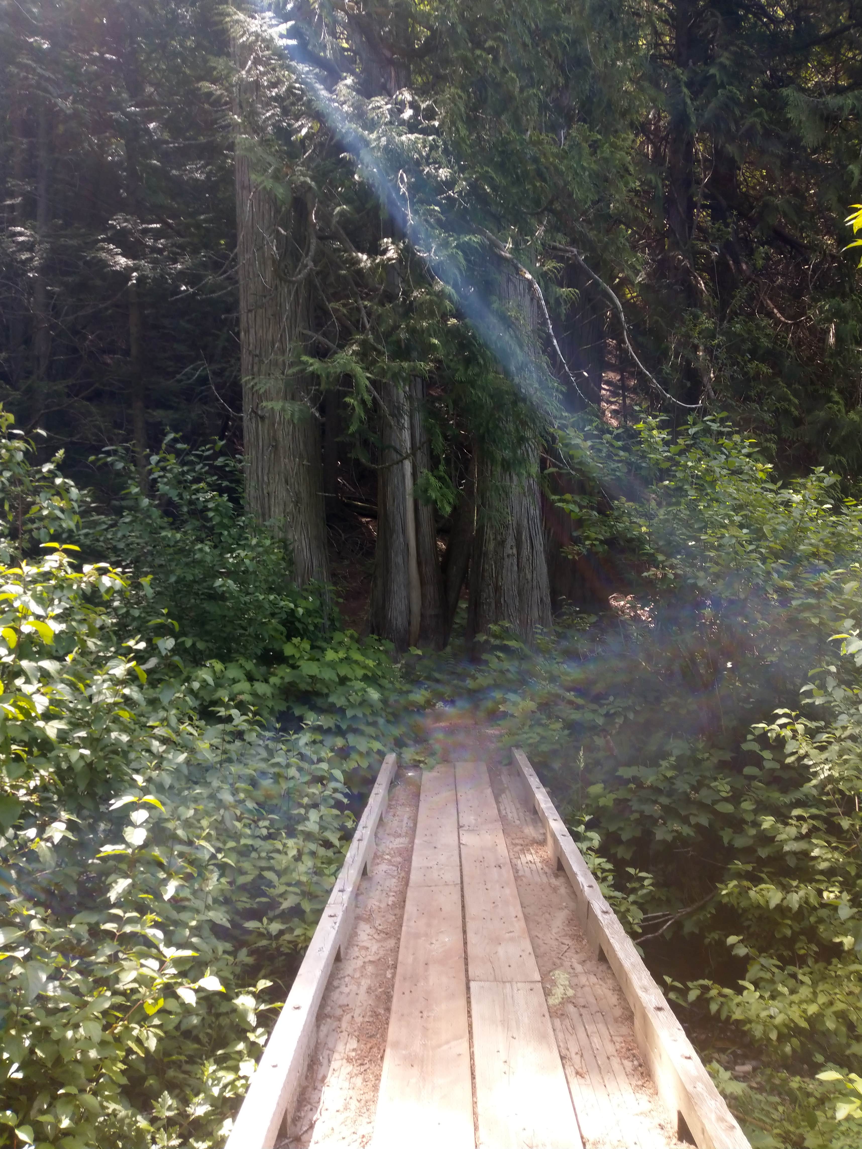 Camping near Eagles Landing RV Resort: Browns Lake Campground, Cusick, Washington
