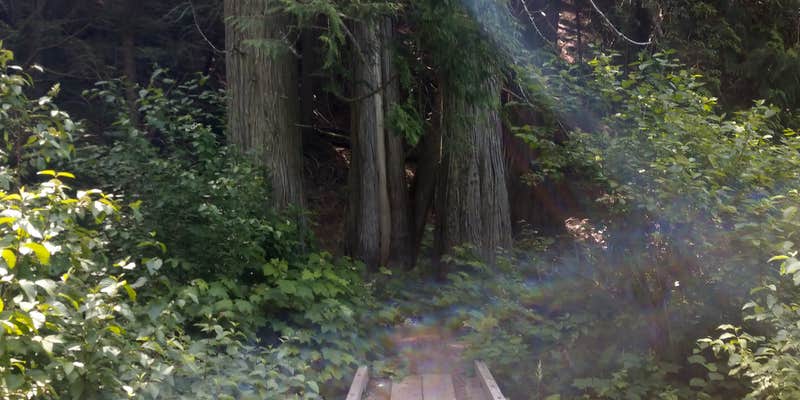 Camper submitted image from Browns Lake Campground