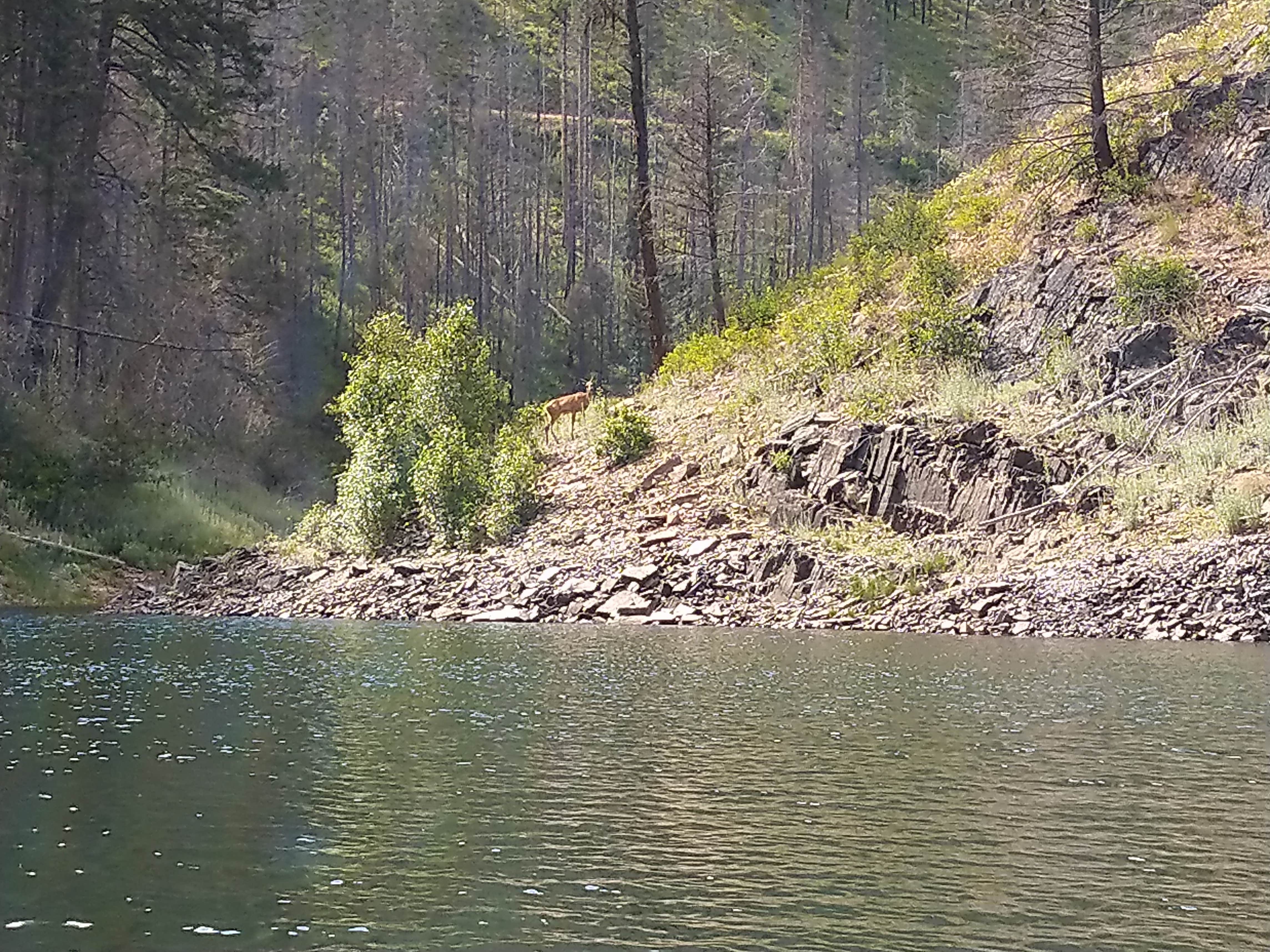 Camper-submitted photo at Browns Lake Campground near Usk, WA