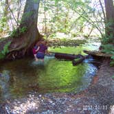 Review photo of Browns Lake Campground by Terrie M., October 27, 2020