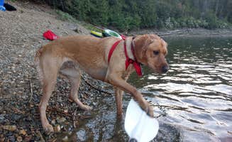 Terrie M.'s photo of camping with pets at Browns Lake Campground near Cusick, WA