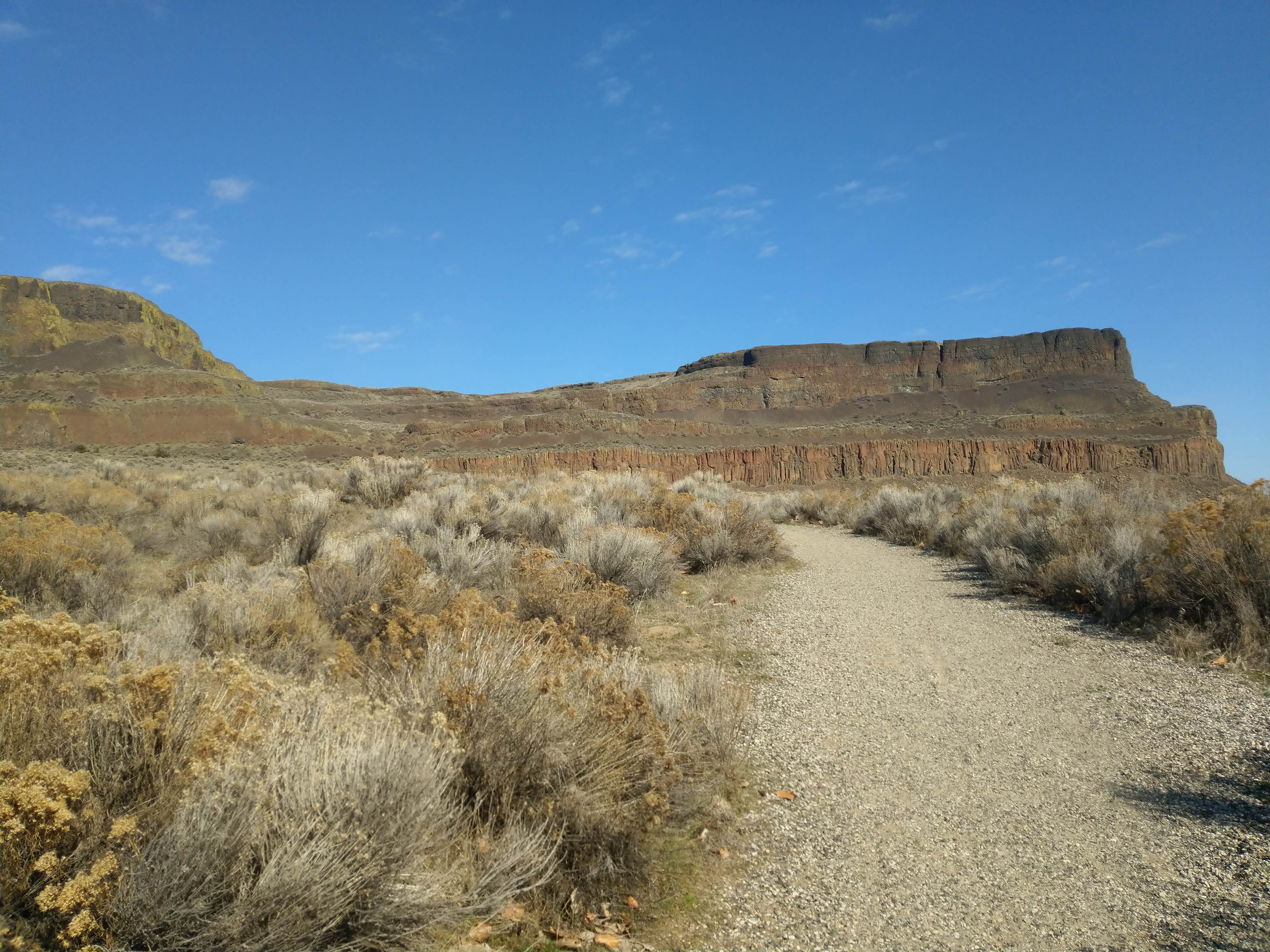 Camper-submitted photo at Cove Loop Campground — Steamboat Rock State Park near Hartline, WA