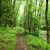 Review photo of Boundary Campground by Julie P., May 22, 2018